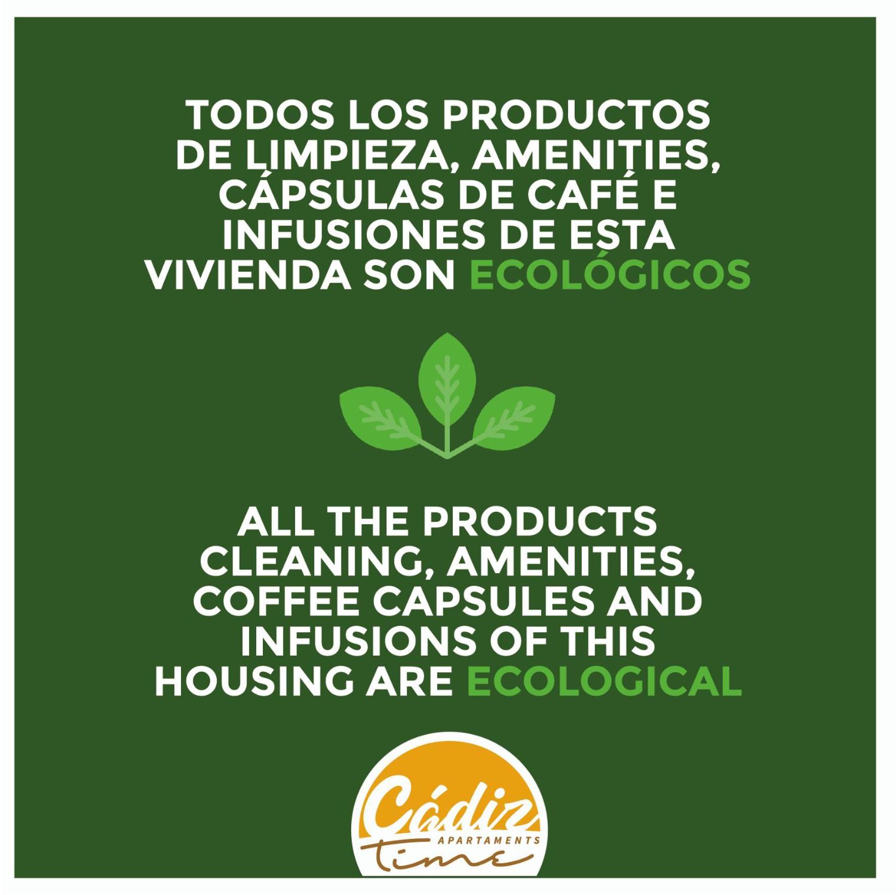 Apartamento Ático Catedral - WIFI - PETFRIENDLY - ECOFRIENDLY Cádiz Exterior foto